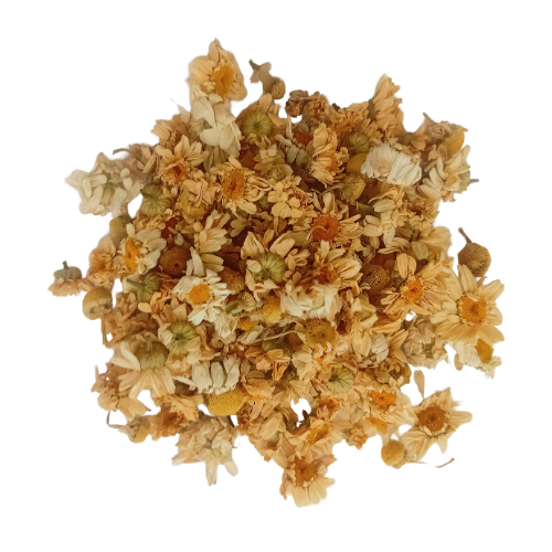 Camomille matricaire (Matricaria chamomilla)