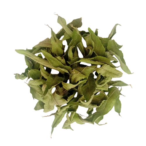 Verveine odorante (Aloysia citrodora)